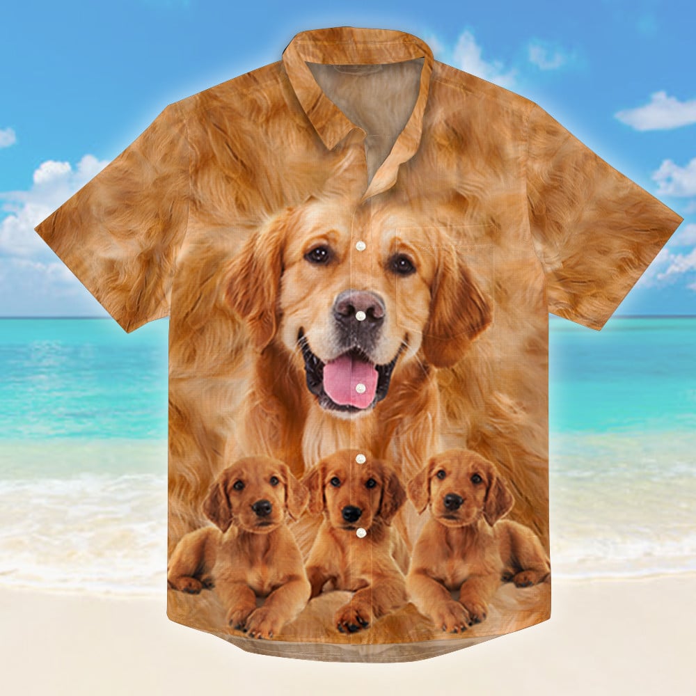 1648724162de4184e758