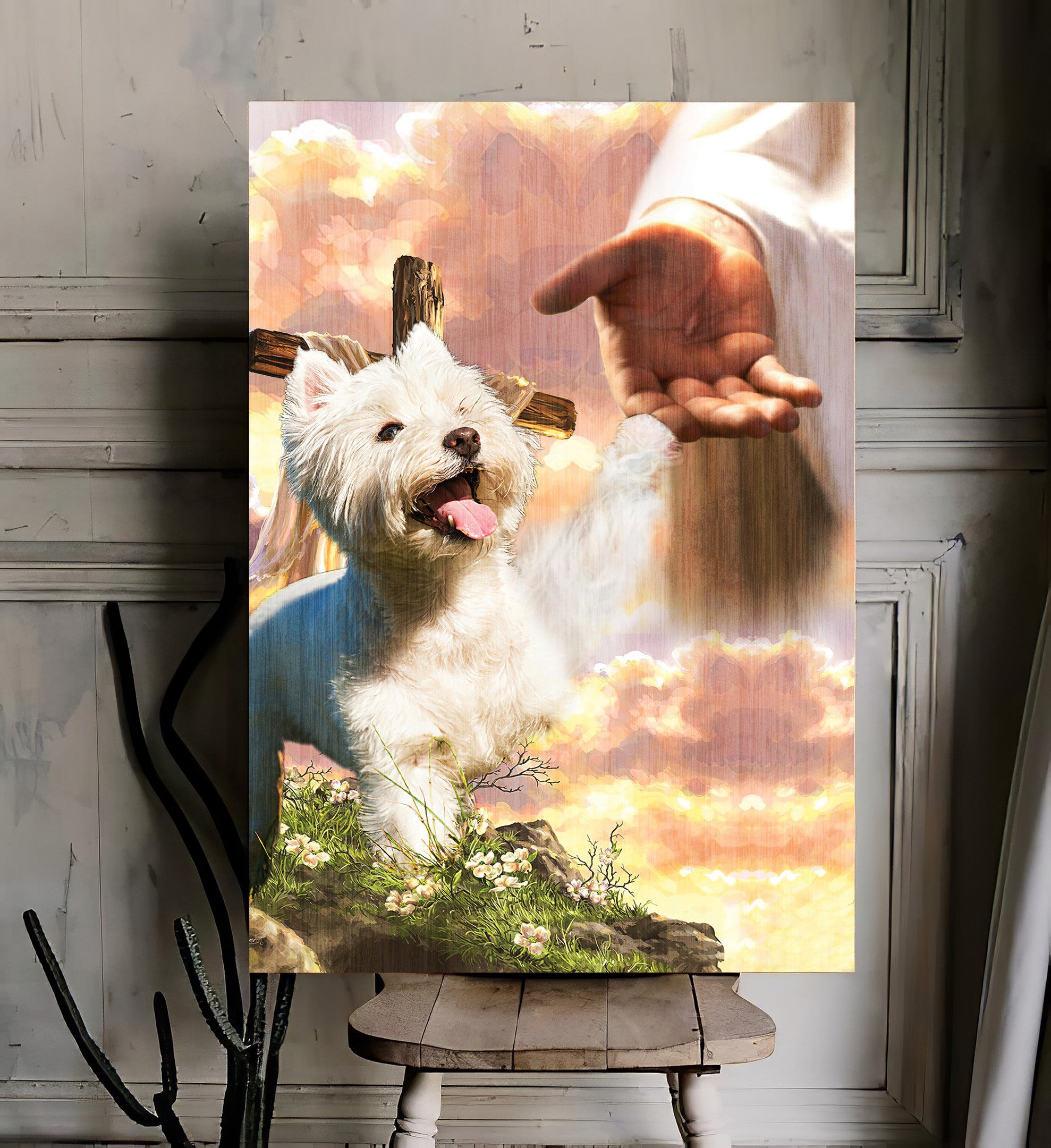 1649900244dfa9b0df95