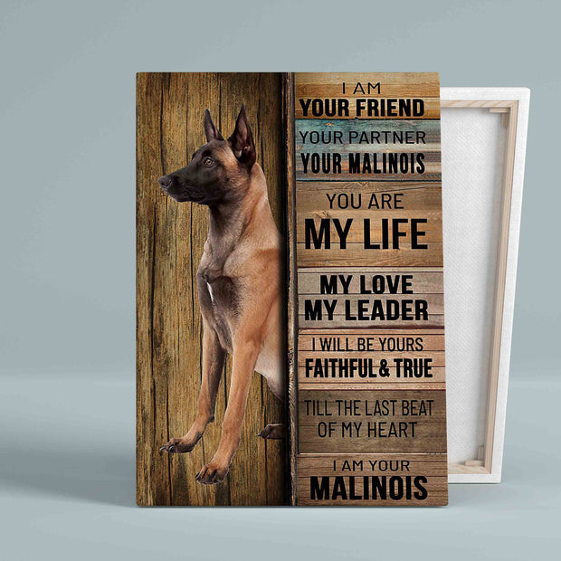 I Am Your Friend Dog Malinois Pet Canvas HY209002