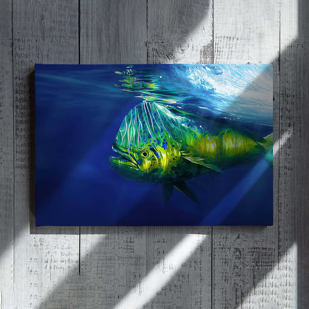 Mahi Mahi Ocsean Wrapped Canvas QT303152Ee