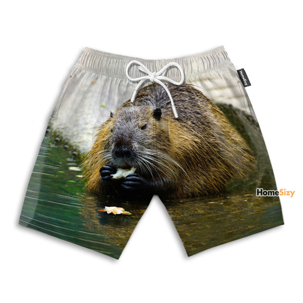 Beaver Eating A Snack Funny Style - Beach Shorts