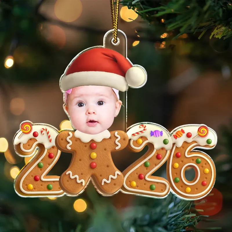 GingerbreadFunnyBabyFirstChristmas3