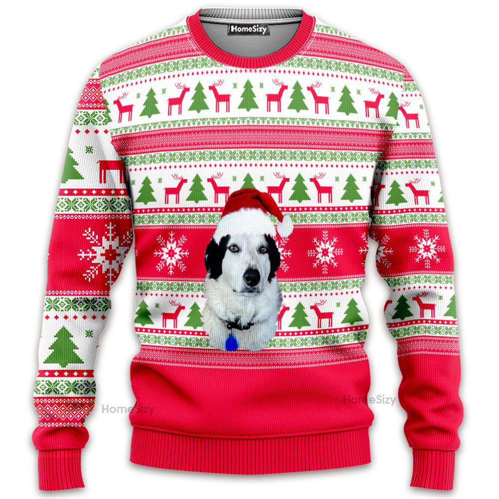 MK5SUP_d5b4eac4 adf3 47a9 9c61 f295ff97147e