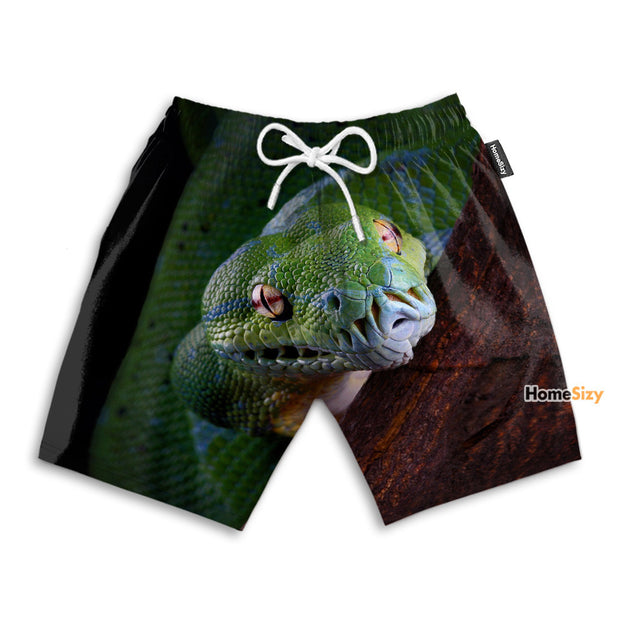 Animal Cool Snake - Beach Shorts