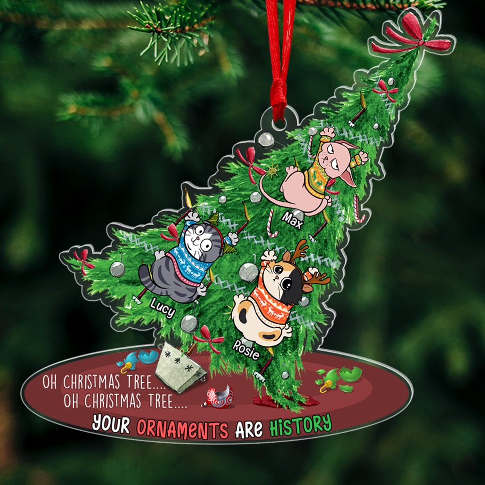 1_ba5baa14 d766 4818 9183 2b7b1fb78f11