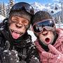 6abe32dd6e310
