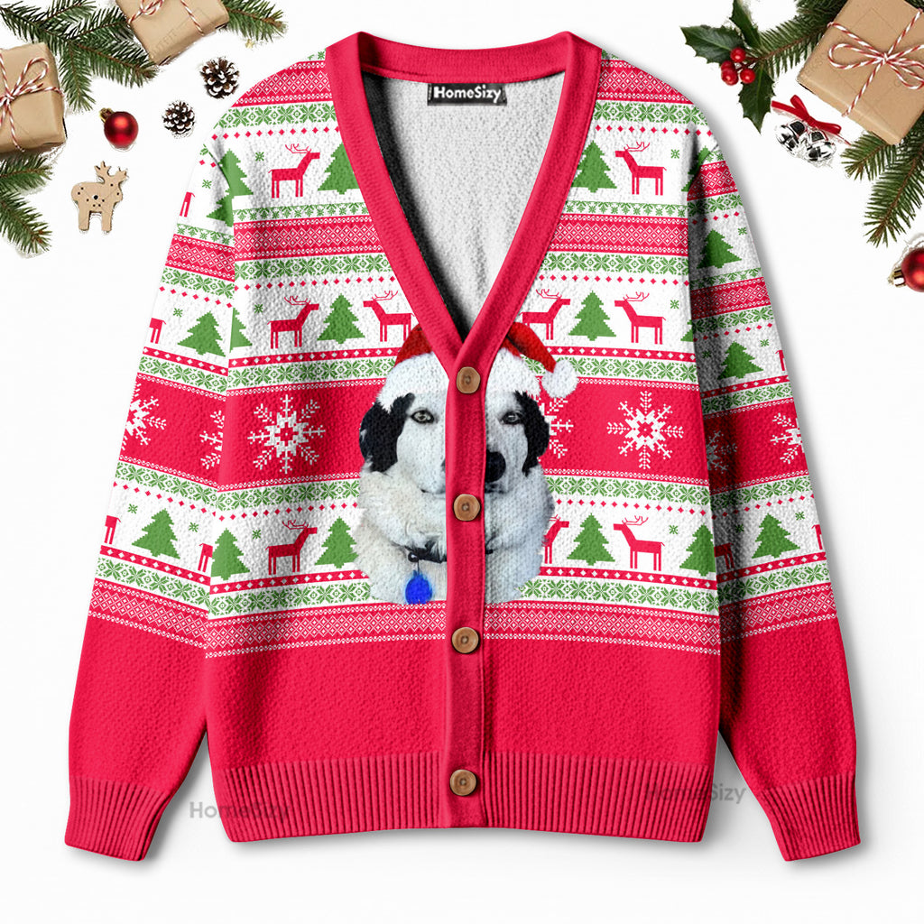 front_f16205c1 acb6 4351 b7a1 860b10a755ac