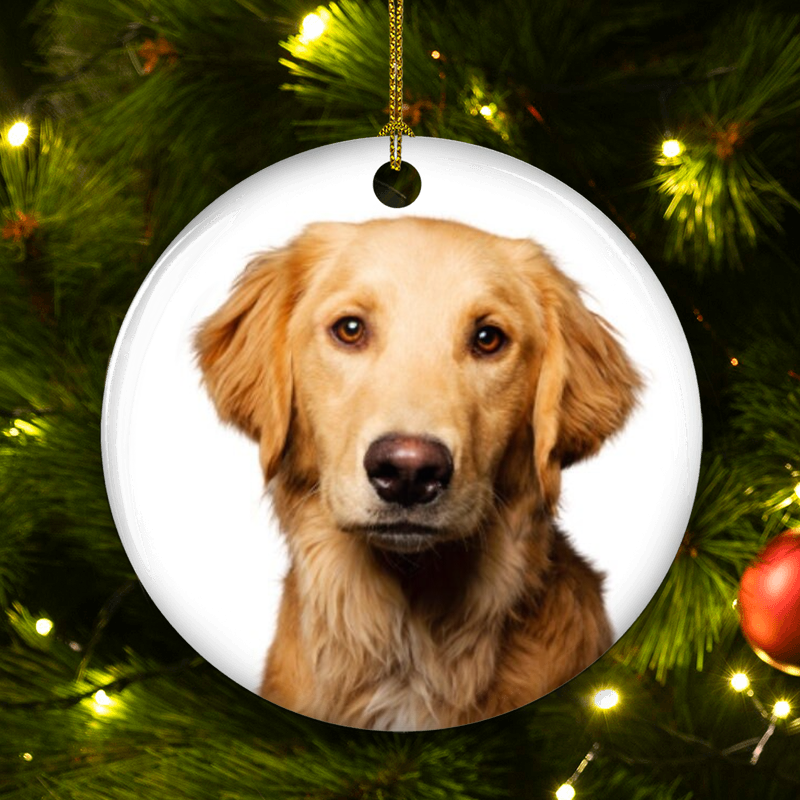 mk_2_4ed4fac2 1ea3 45b9 be4b 0b53a6b0b5c9