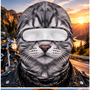 motorcycle_mask_2_903f6a7d e9fd 43c4 9491 ba3238040ac4