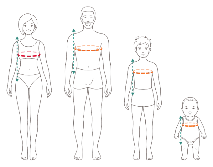 Body measurement guide
